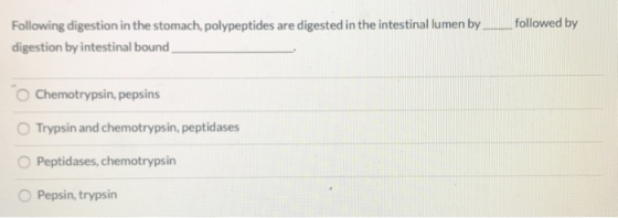 followed by Following digestion in the stomach, polypeptides are digested in the intestinal lumen by digestion by intestinal