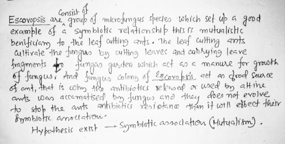 Consist are merofngus Sym blotic relationship this mutualixtc benifiuem to the leaf cuting ants The leaf cuthing amts autivat