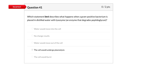 0/2 pts Incorrect Question 4:1 Which statement best describes what happens when a gram-positive bacterium is placed in distil