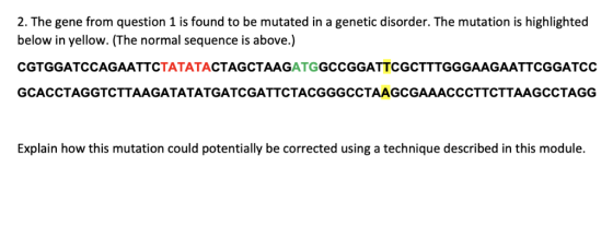 2. The gene from question 1 is found to be mutated in a genetic disorder. The mutation is highlighted below in yellow. (The n