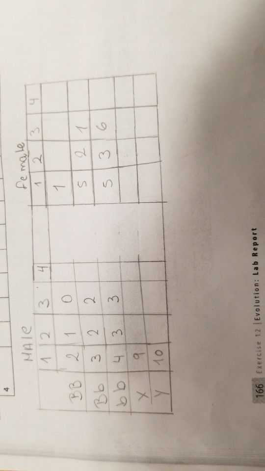 4 in le Pe male 12 3 4 38 21 0 5 3 bb 4 3 3 y 10 166 Exercise 12 jEvolution: Lab Report