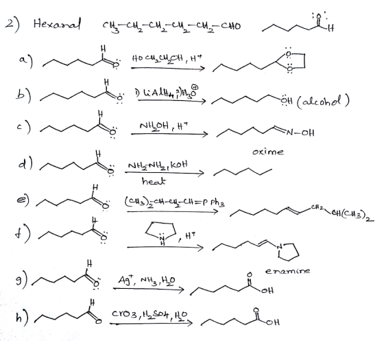 2) Hexanal H a) H A (alcohol) b) t HO-N oxime Ao NN heat CH2 enamine Ag, NHH HO CYO3,HSo, HO