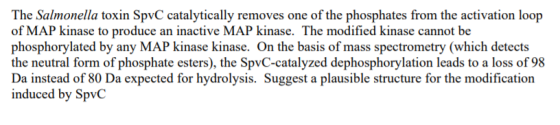 The Salmonella toxin SpvC catalytically removes one of the phosphates from the activation loop of MAP kinase to produce an in