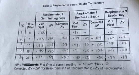 Table 2: Respiration of Peas at Colder Temperature Respirometer 3 Beads Only Respirometer 2 Dry Peas+Beads Respirometer 1 Ger