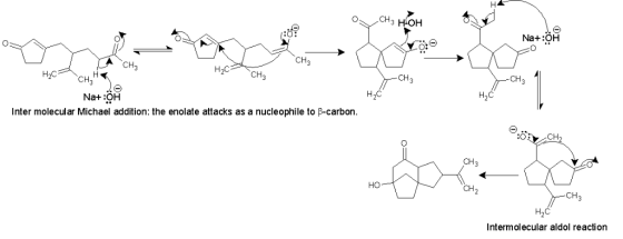 CH CH H2C Na+:ÖH Inter molecular Michael addition: the enolate attacks as a nucleophile to p-carbon :O CH CH3 но CH Intermole