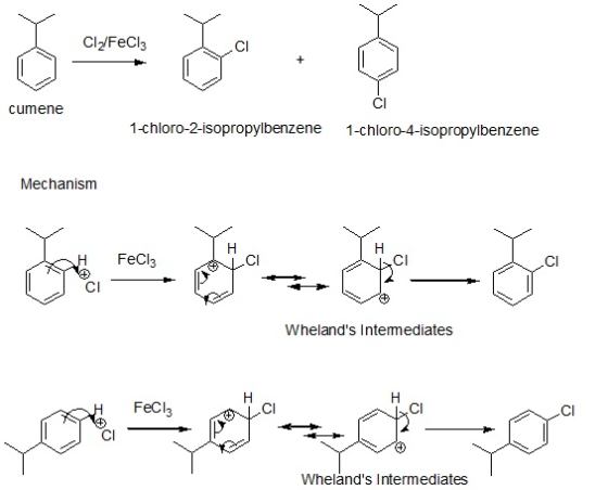 Cl2/FeCl3 Cl CI cumene 1-chloro-2-isopropylbenzene 1-chloro-4-isopropylbenzene Mechanism FeCl3 イトレCl CI Cl CI Whelands Intem