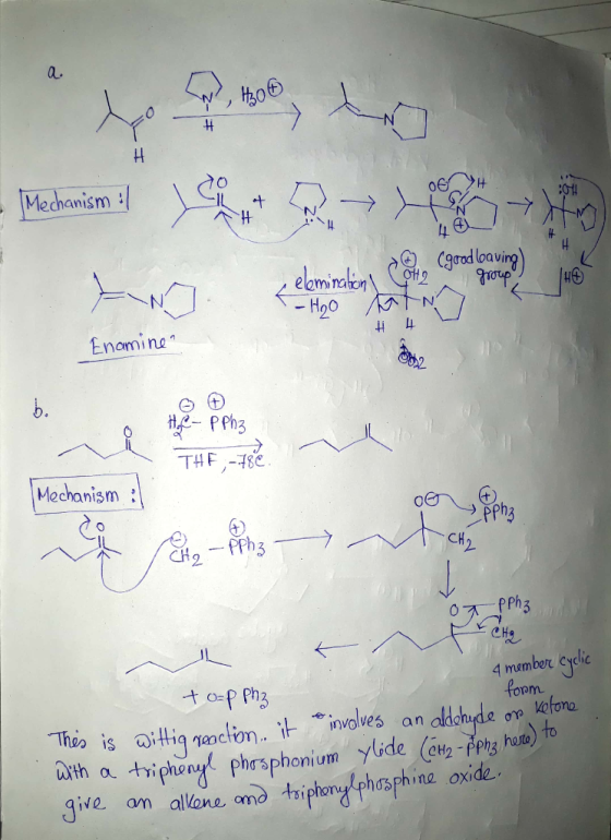 a. h0 |Mechanism 11 \ eleminahon - Ho0 Enamine Θ (t) THF-18 Mechanism 0 pph 2 CH CHq 4 mamber Cylic oom d Sphonium Jive on al