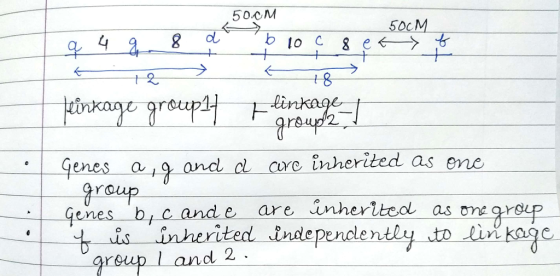 50cM 50cM lo C roupl roup2 enes a 19, and Сし Core herited as ere group Gones b,c and e are nheriteol as 一一t is inherited Ind
