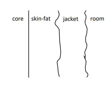core skin-fat jacket room