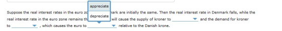 appreciate Suppose the real interest rates in the euro zo hark are initially the same. Then the real interest rate in Denmark