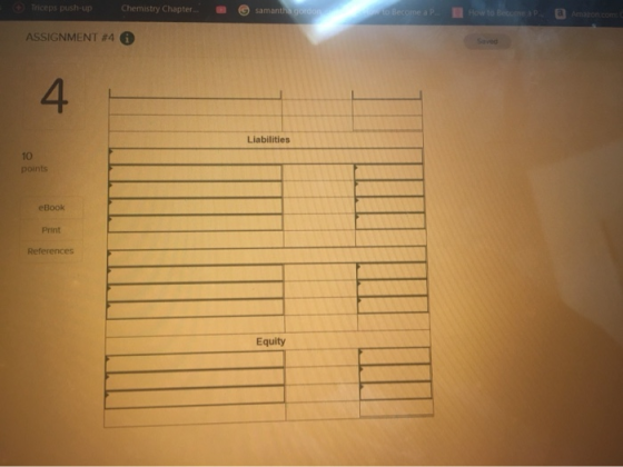 ps push-up Chemistry Chapter....samant ASSIGNMENT #4 4 Liabilities 10 points eBook Print Equity