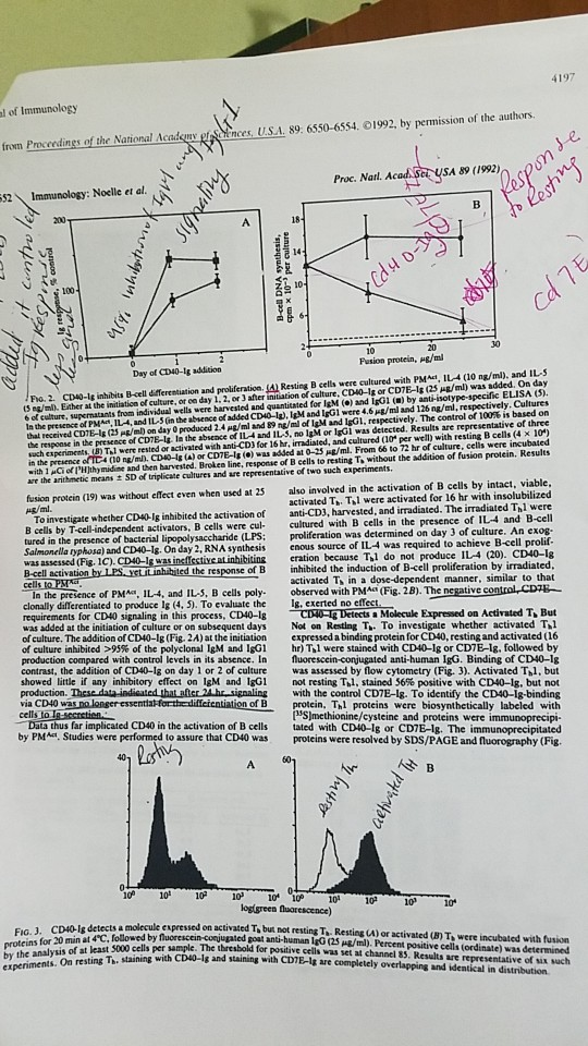 fl ner.U.SA 89 6550-6554. С 1992, by permission of the authors ader fron Pro erdings of the National Proc. Natl. Acad Ser USA
