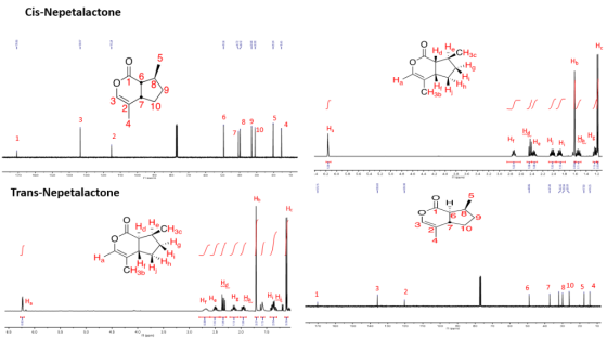 Cis-Nepetalactone O He 7 10 4 8 9 462626* “64626. 48 44 44 42 40.- 4双3.o 2* 24 24 22 20 ,8 16 4 1.2 Trans-Nepetalactone 5 O