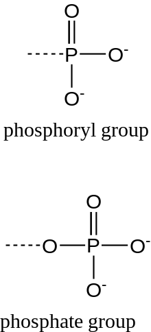 P-O phosphoryl group phosphate group|