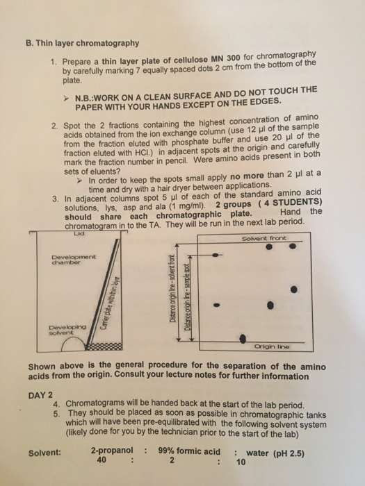 B. Thin layer chromatography 1. Prepare a thin layer plate of cellulose MN 300 for chromatography by carefully marking 7 equa