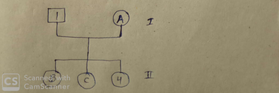 A I CS ScannedBwith CamScanner 4