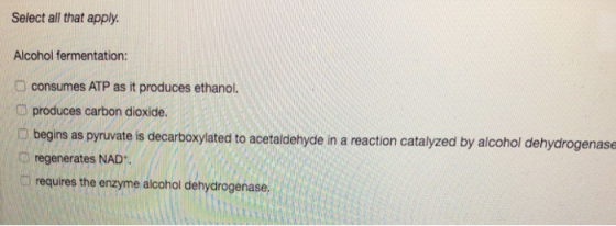 Select all that apply. Alcohol fermentation: consumes ATP as it produces ethanol. O produces carbon dioxide begins as pyruvat