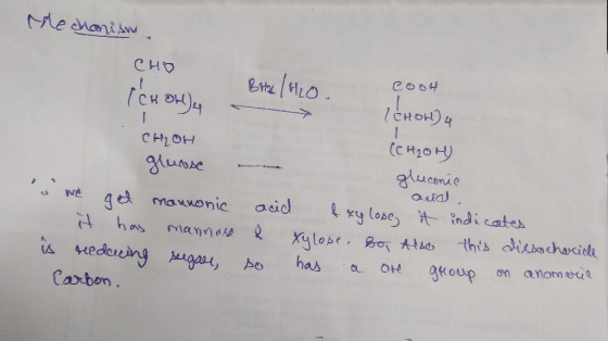 CHD CH 아! Нон) (C H10H uose aua) locindi cates monic eid A Hede has gKoup n aomau Carbon