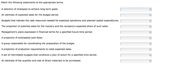 Match the following statements to the appropriate terms. A selection of strategies to achieve long-term goals. An estimate of