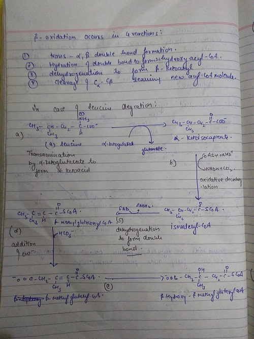 色oxidation occuu da 4reorchions: o4 @i_.Haarationー4dbulde , bond to tenuutal dofy eauuwd ㅡ ne。。auf..64照01 Nid CCo 10 b) MAbn