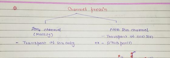 Chammel pokin Tomy chammel Non 1on chamnel (Mostly ransport at non 109 Tanspoat at an only