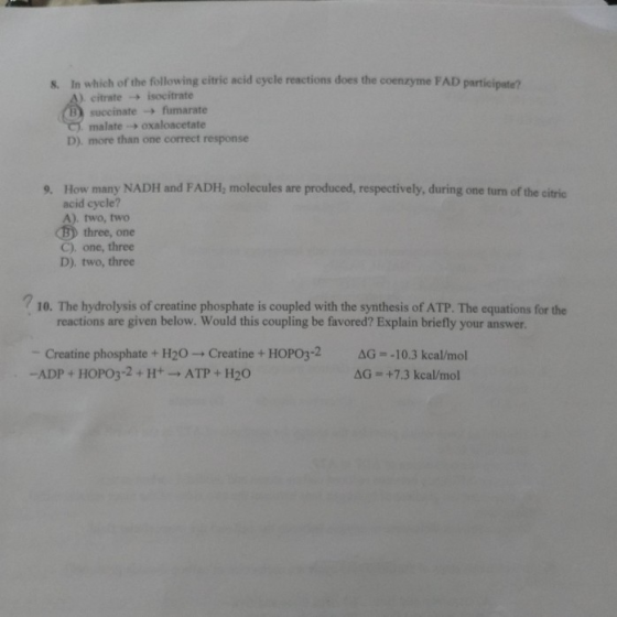 8. In which of the following citric acid eycle reactions does the coenzyme FAD participate? ), citrate → isocitrate B) succin