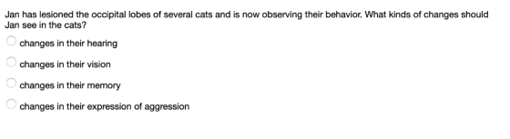 Jan has lesioned the occipital lobes of several cats and is now observing their behavior. What kinds of changes should Jan se