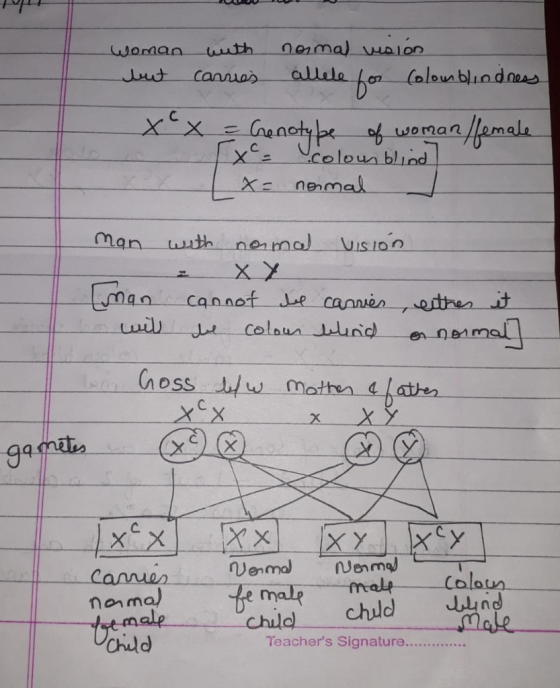 oh woman fema X nenmal man wuth nema) is o Child chud Jnd Ciùd
