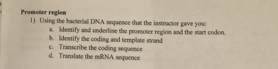 Promoter region 1) Using the bacterial DNA sequence that the instructor gave you: a. Identify and underline the promoter regi