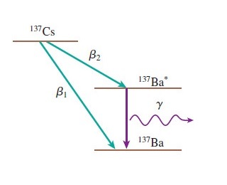 137 Cs β2 βι У 137Ba