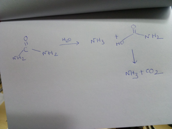 H20 NH 2.