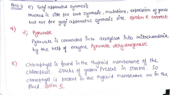 Nucteus is stte fos ONA Synthois,muttions, exprestion on but not for golgt apparatus symthents site. optión e ceyvect Pyruvat
