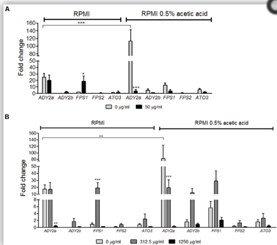 RPMI 0.5% acetic acid RPMI 140 120 100 80 130 20 10 ADY2a ADY2b FPS1 FPS2 ATO3 ADY2a ADY2 FPS1 FPS2 ATO3 RPMI 0.5% acetic aci