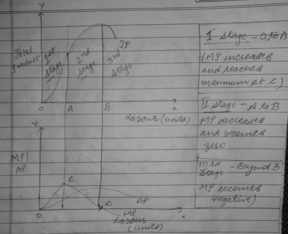 Fotal 1 slage otoA raducTs stage stage Arage 3 n MP ncseade and AeacheB maximunv at > sage -A toB da sour lundo) MPucseases a
