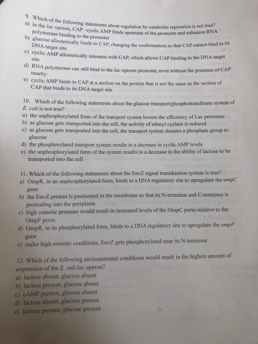 a iw hich of the following statements about regulation by catabolite repression is not ra the lac operon, CAP -cyclic AMP bin