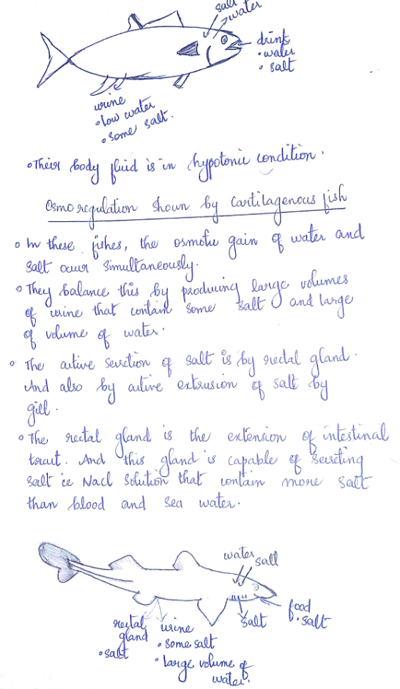 ga0. salt Some gall tone tendlin o w ullaneus uine thal ond lange than olood and Sea waten walor ga ome alt o B