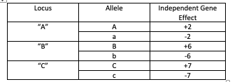 Allele Independent Gene Effect Locus A A +2 -2 a В +6 b -6 С C +7 -7 c