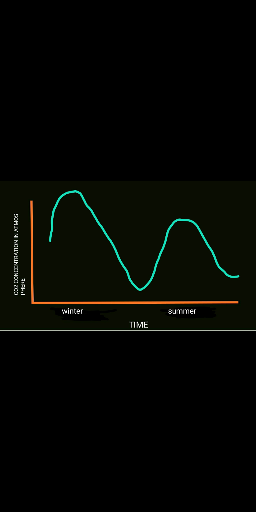 winter summer TIME PHENCENTRATION IN ATMOS