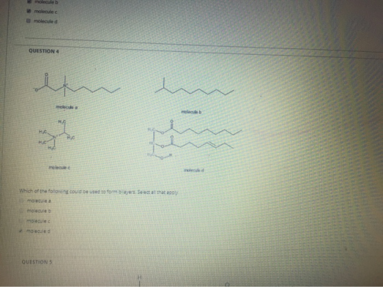 molecule b molecule c molecule d QUESTION 4 molecule a molecule b H-C HC H.C molecule nolecule d Which of the following could
