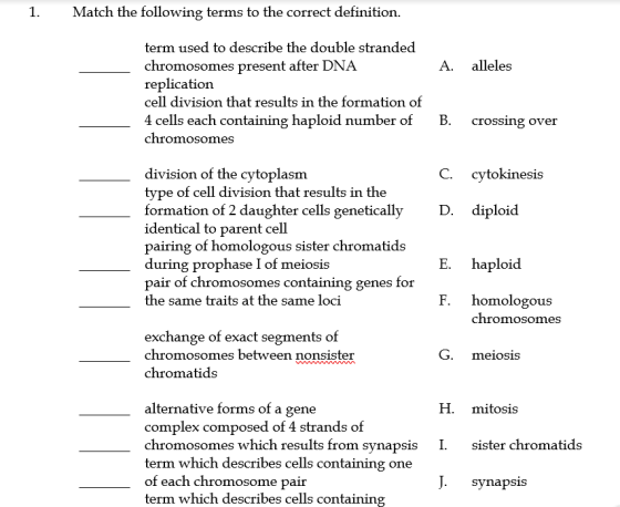 Match the following terms to the correct definition. 1. term used to describe the double stranded chromosomes present after D