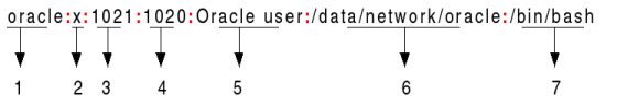 oracle:x: 1021:1020:Oracle user:/data/network/oracle:/bin/bash 4