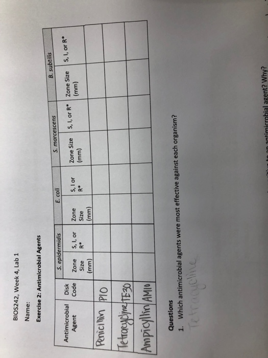 BIOS242, Week 4, Lab 1 Name: Exercise 2: Antimicrobial Agents B. subtilis E. colS, marcescens s. epidermidis Antimicrobial Di