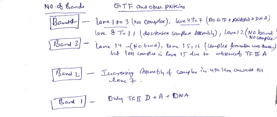 No cBond GTF and othor Puteins |Band4 Lane lto 3 (No Coplx), lave 4t0 7 (A GTEKNAY)DA Lave &To/ deuleasc amplen Ambl), Lene)
