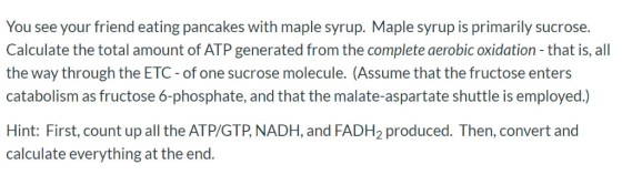 You see your friend eating pancakes with maple syrup. Maple syrup is primarily sucrose Calculate the total amount of ATP gene