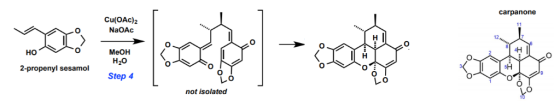 carpanone Cu(OAc)2 NaOAc MeOH HO H20 2-propenyl sesamol 0 Step 4 レ。 レ。 not isolated
