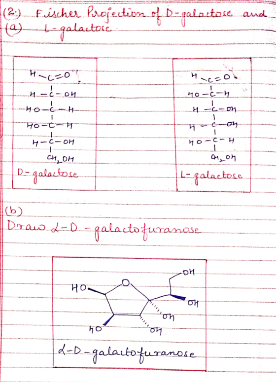 alacto ㄣㄧ-C-OH CH, OH D-4alatose で H L--4 ala c tose. ση ση d-D-alatourano