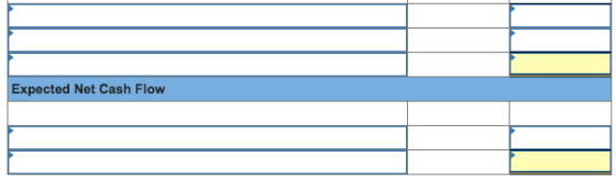 Expected Net Cash Flow