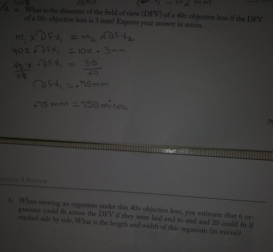 4. a. What is the diameter of the field of view (DFV) of a 40x objective lens if the DFV of a 10x objective lens is 3 mm? Exp