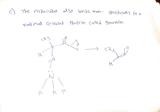 The idacuda aso binds non- Specifically to s nodMal Ce|lulod Protein Called Benevolin H3 CH& H R R