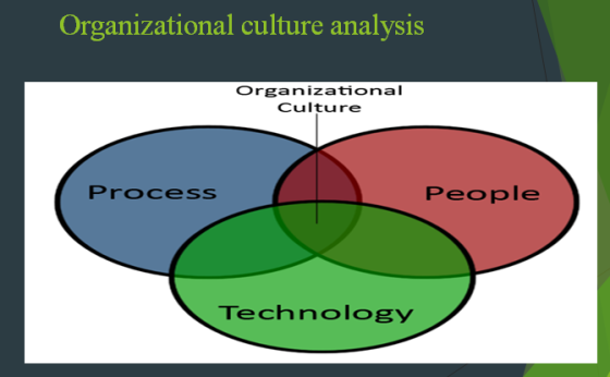 ational culture analysis Organiz Organizationa Culture Process People Technology
